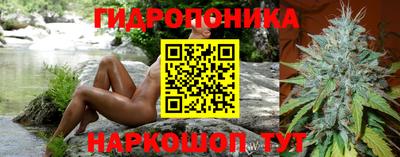 скорость Аргун