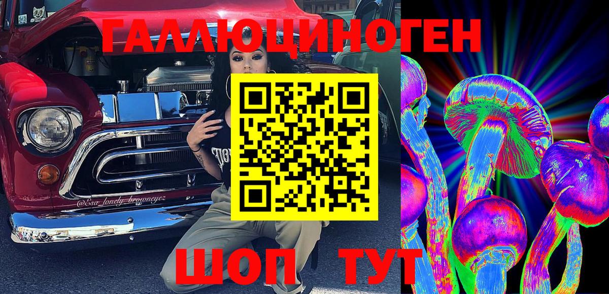 Галлюциногенные грибы Psilocybe  где можно купить   Каменск-Шахтинский  Псилоцибиновые грибы Psilocybine cubensis 